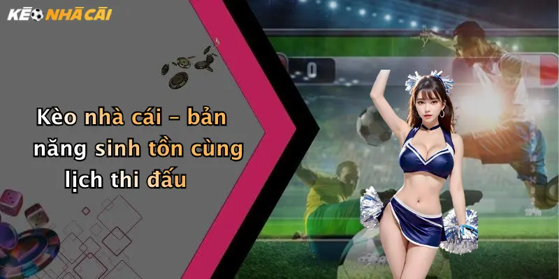 Kèo nhà cái – bản năng sinh tồn cùng lịch thi đấu