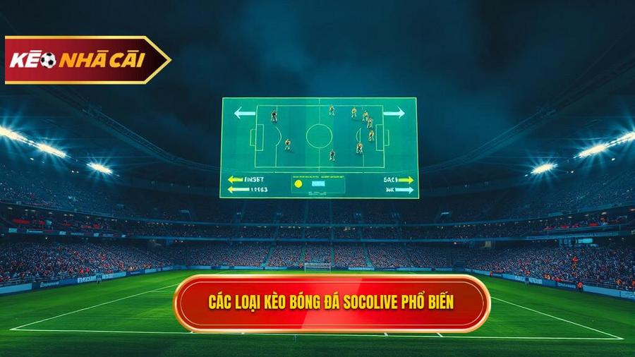 Các loại kèo bóng đá Socolive phổ biến nhất hiện nay