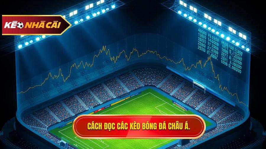Cách đọc các loại kèo bóng đá Châu Á phổ biến nhất